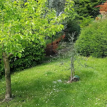 شقة Iseolakerental - Casa Rododendro